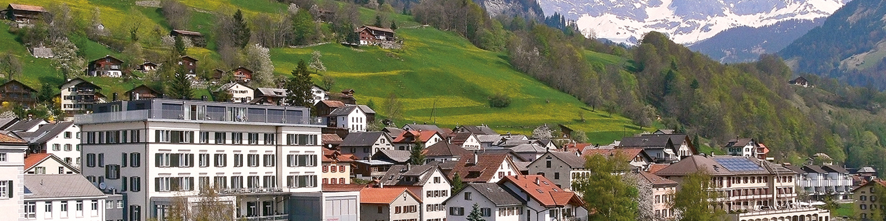 Fernaufnahme der Rehaklinik Seewis im Sommer